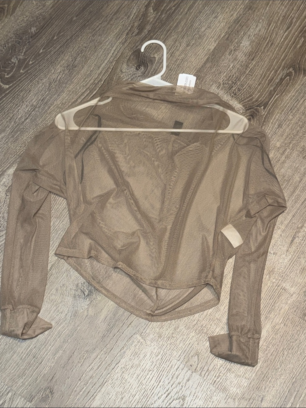 Windsor Sheer Mesh Long-Sleeve Crop Top in Taupe